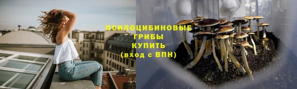 сатива Балабаново