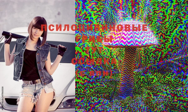 сатива Балабаново